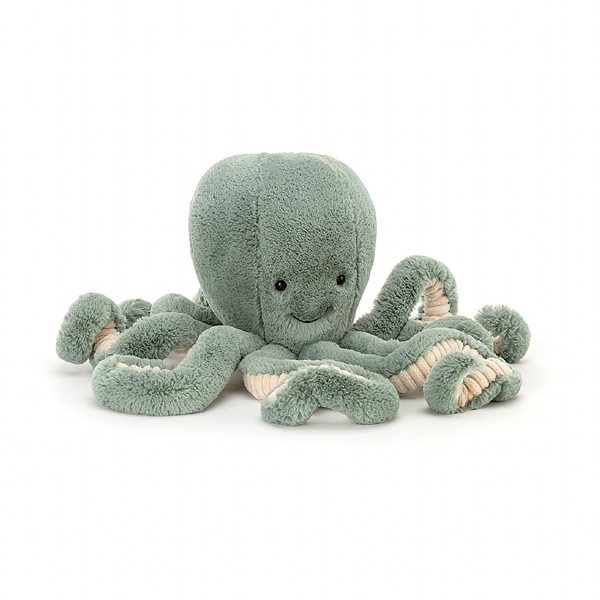 Image de 'Odyssey octopus Large'