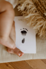 Bild von Kit carte empreintes pour bébé