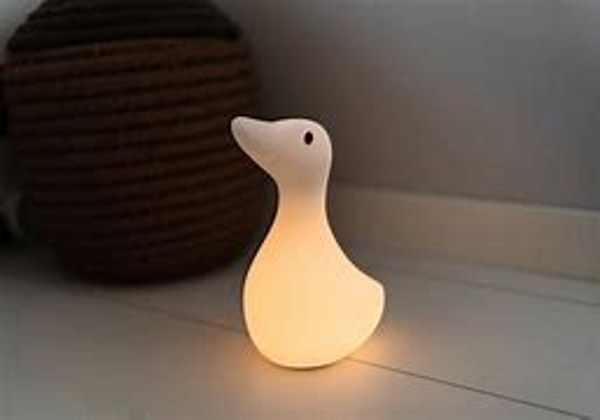 Image de 'Liva Night Light'